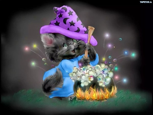 кошка волшебник