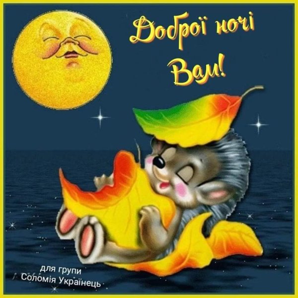 спокойная ночи