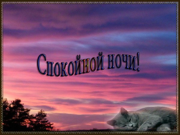 спокойная ночи