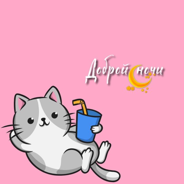 пожелания на ночь прикольные