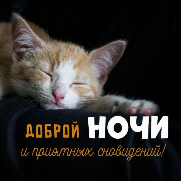 крепкого сна и приятных сновидений