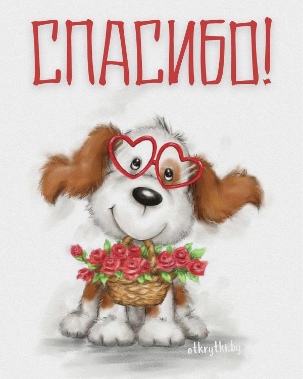 милые рисунки собак