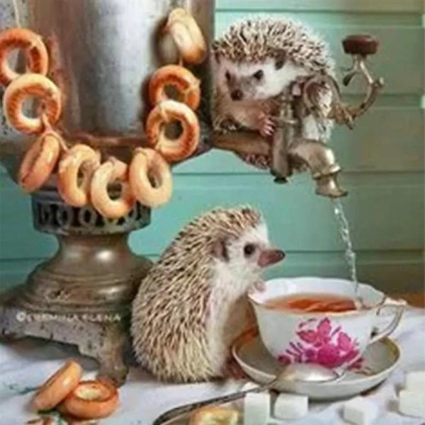 ёжики елены ерёминой 2020