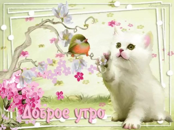 мерцающие картинки с добрым утром