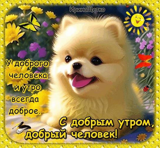 с добрым утром добрые люди