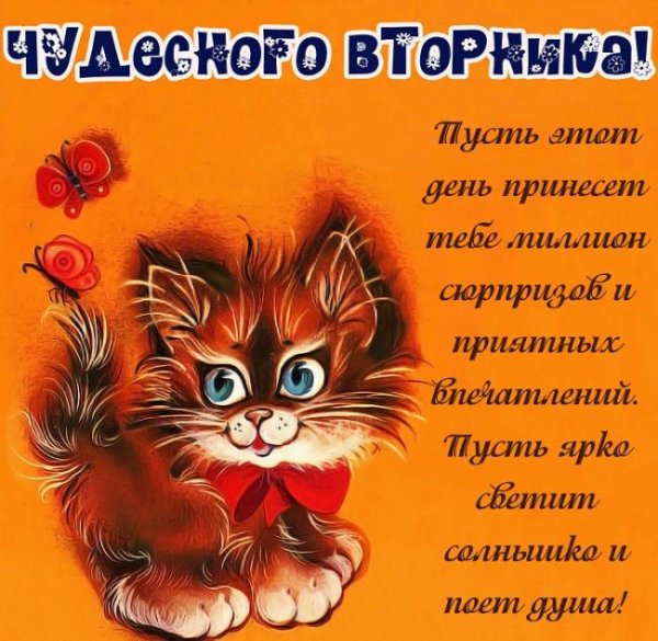 поздравление со вторником