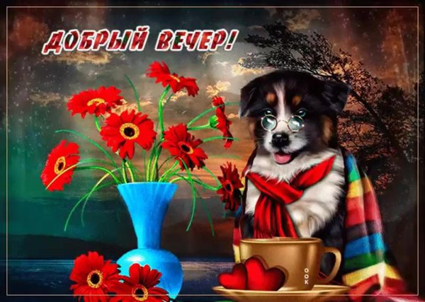 открытки с добрым вечером с животными