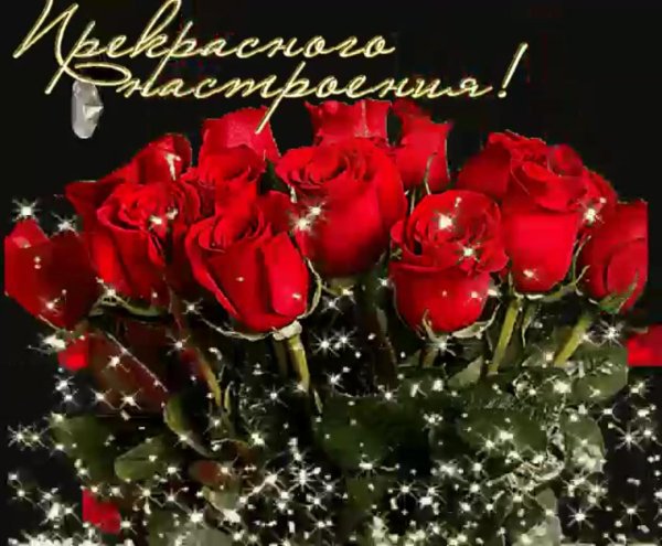 прекрасного настроения