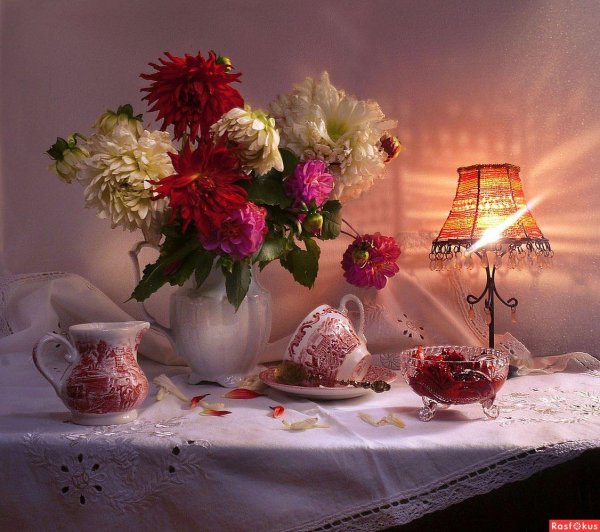 валентина колова натюрморты