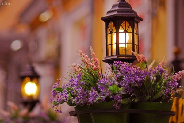 уличные настенные светильники