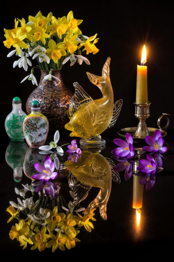 натюрморт с нарциссами