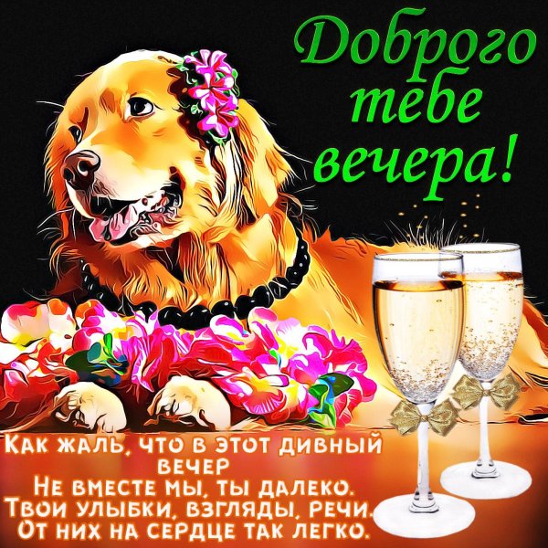 поздравления с добрым вечером прикольные