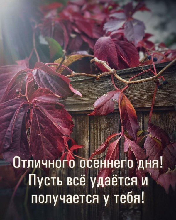 добрейшего осеннего утра