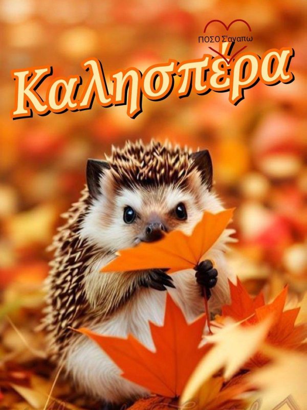 ежик шуршит