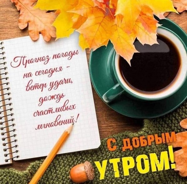 доброе утро осеннее пятница