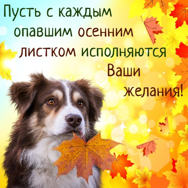 привет осенний