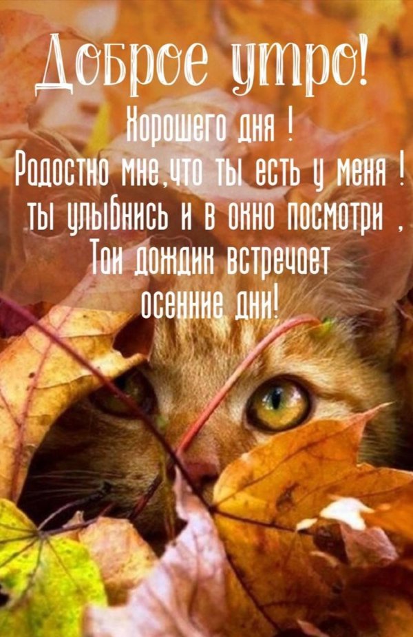доброго утра осени