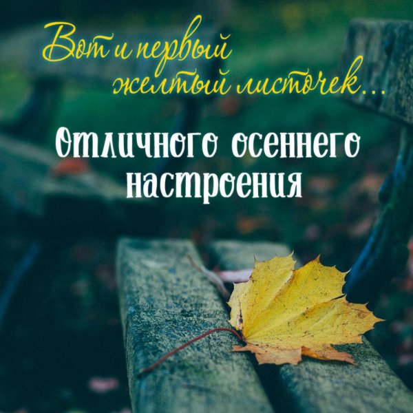 вторник осень