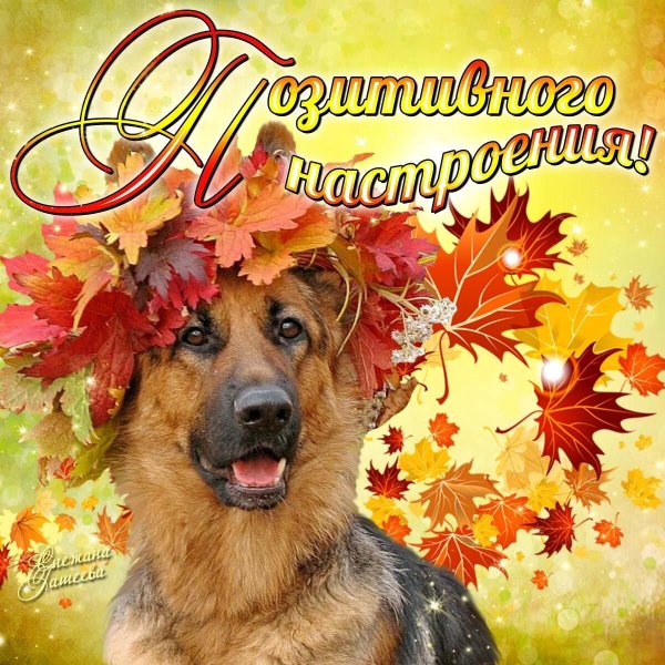 хорошего настроения осеннего