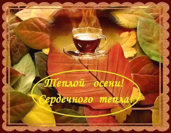 доброе осеннее утро тепло