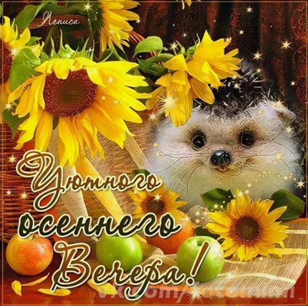 вечера доброго осеннего