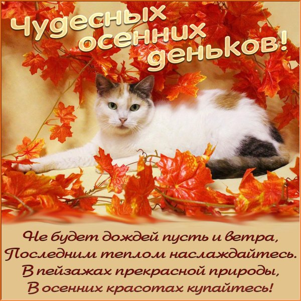 открытка осенняя