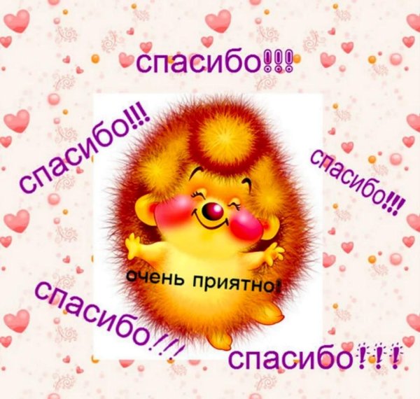 ежик веселый