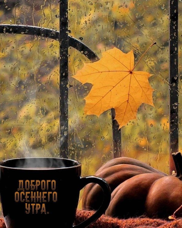осень кофе