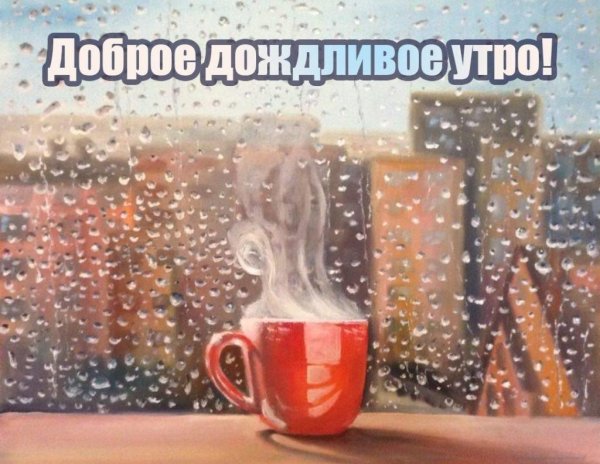 дождливого утра