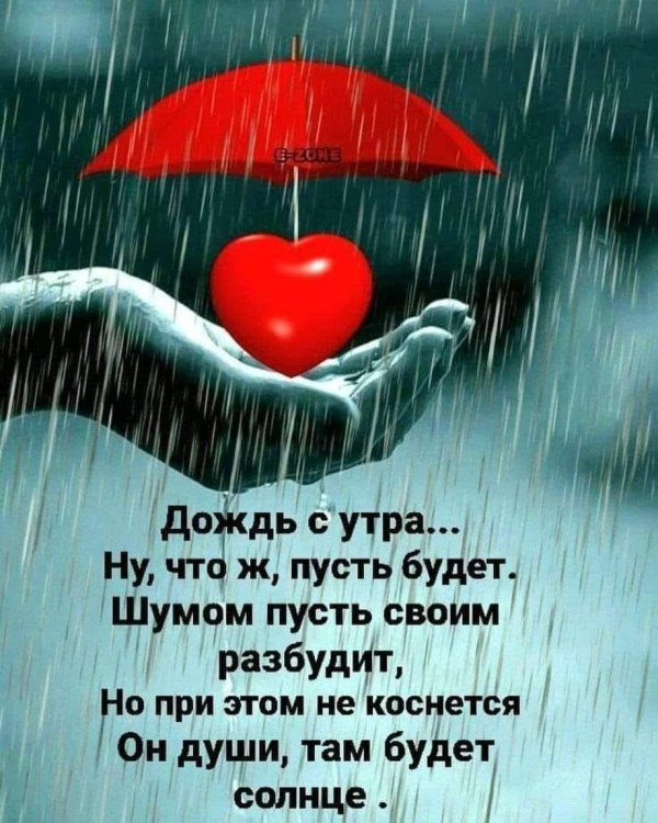 дождливого утра