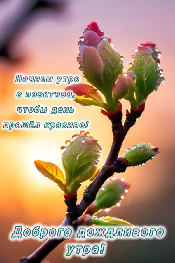 весеннего утра