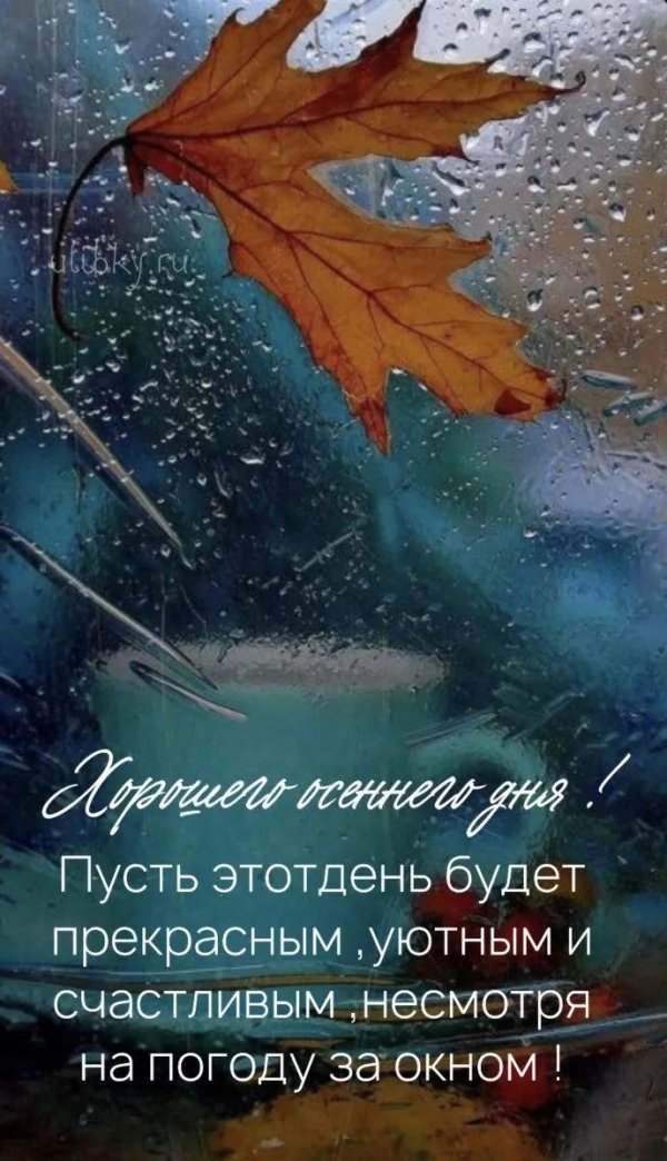 дождливая осень