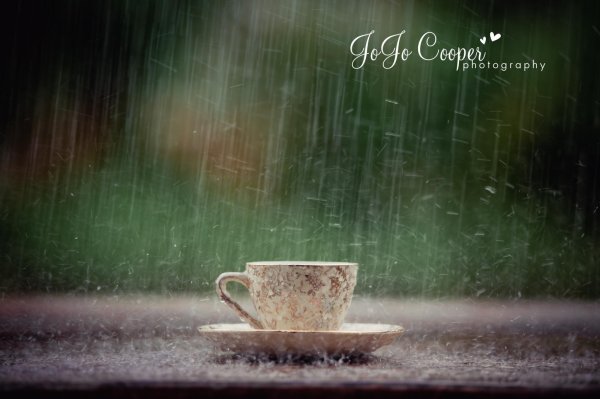 дождливого утра