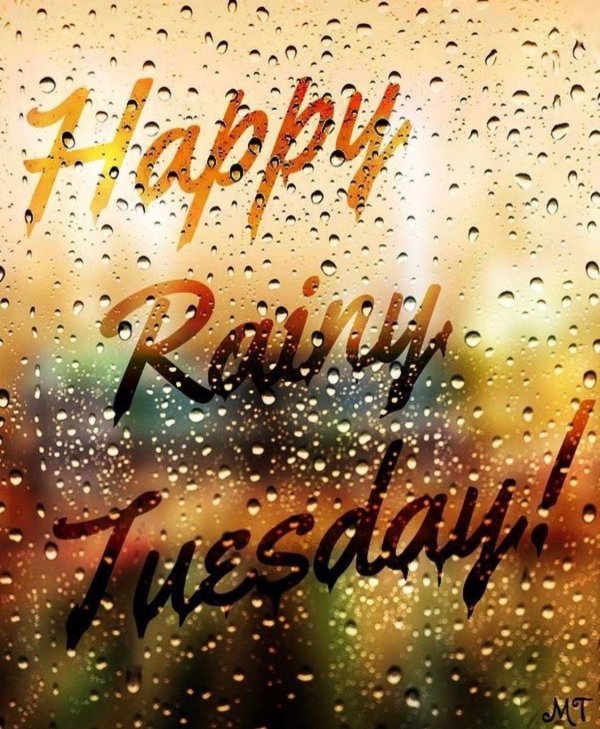 rainy tuesday