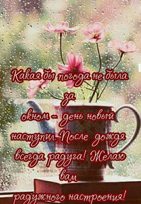 с добрым дождливым утром и хорошим днём