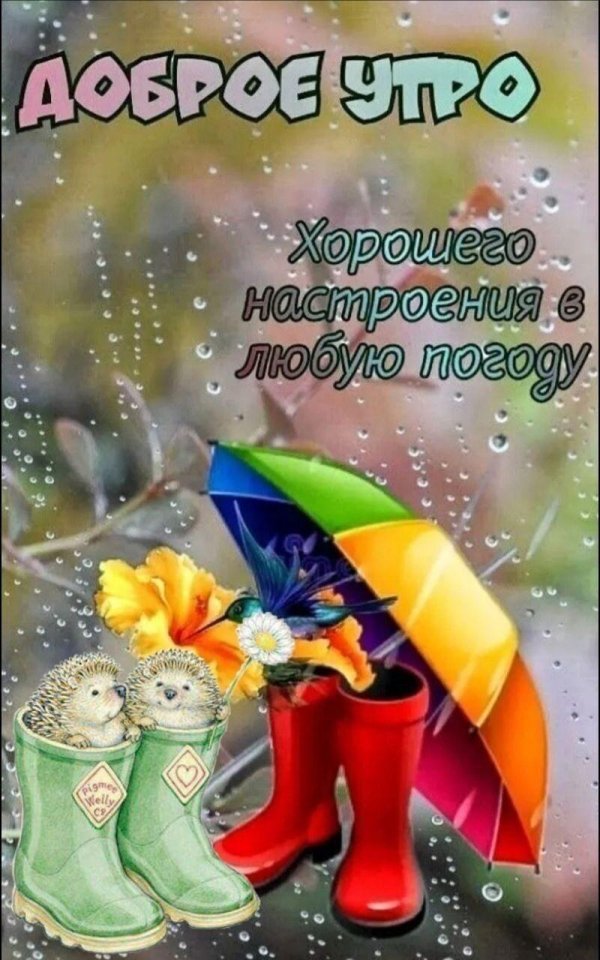 хорошего настроения в любую погоду