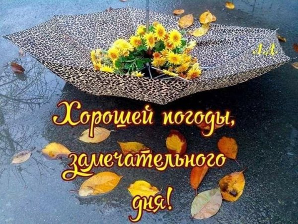 открытки осень