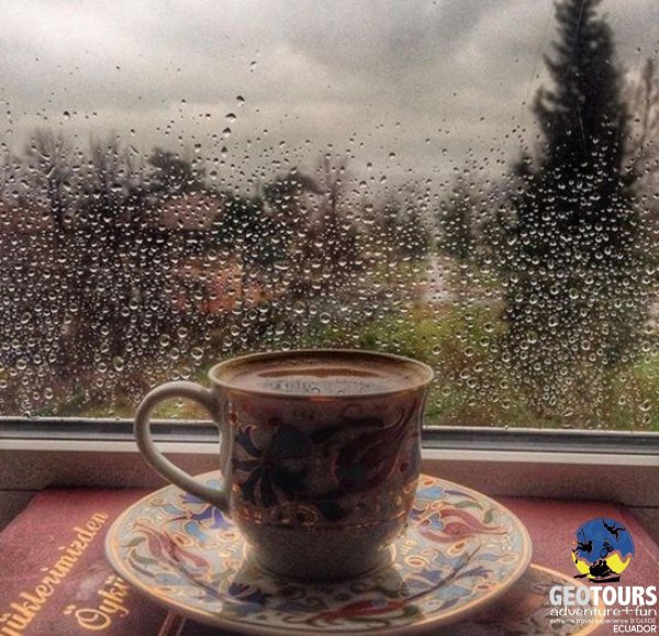 чашка кофе дождь