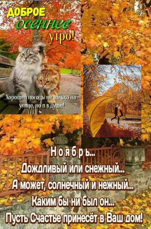 приближается осень