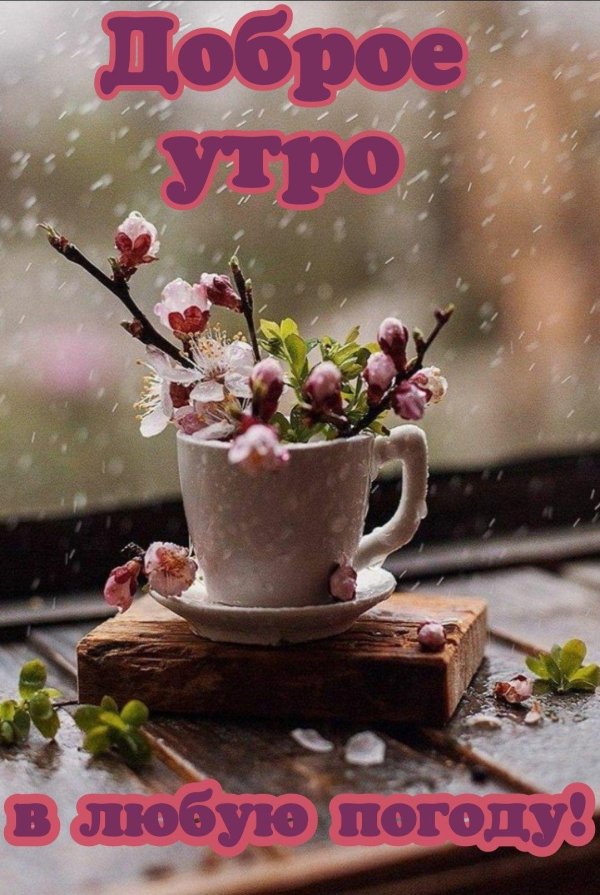 осеннее дождливое утро