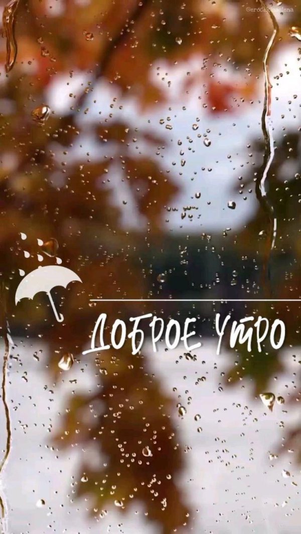 дождливого утра