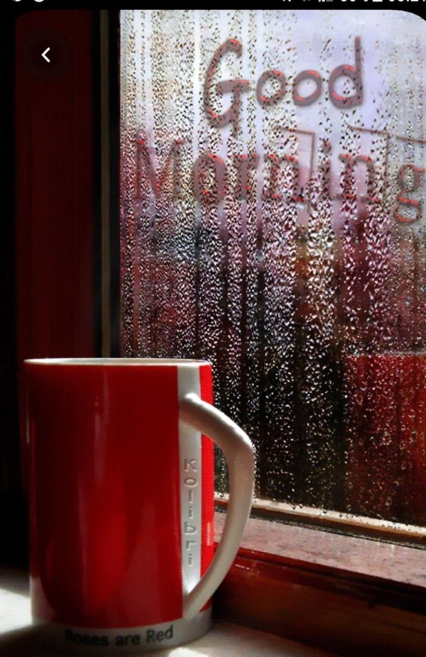 дождливого утра