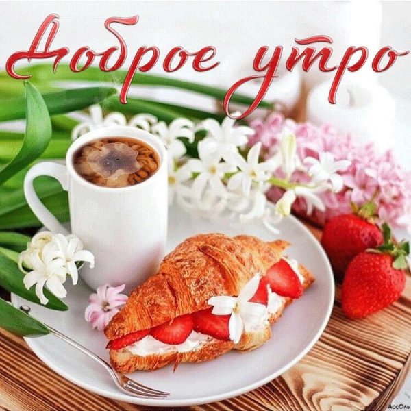 добра утра
