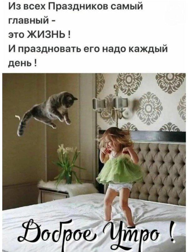 праздновать жизнь каждый день