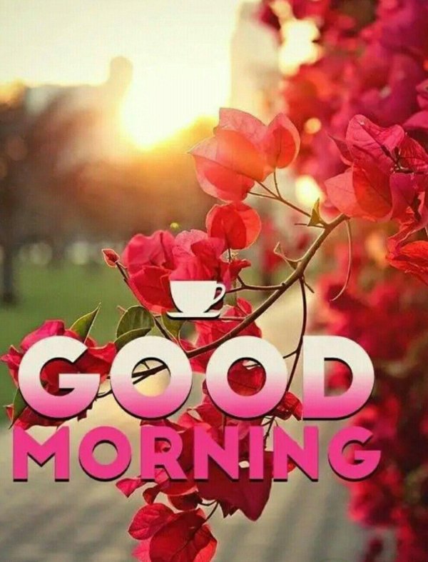 гуд монинг
