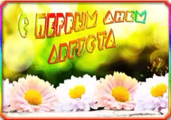 24 июня день ромашек