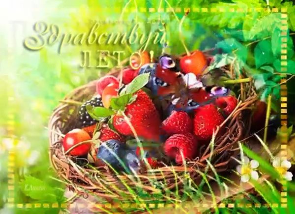 летние ягоды