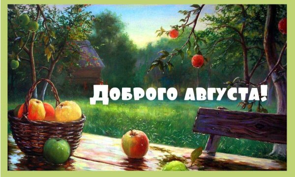 август 4 штуки