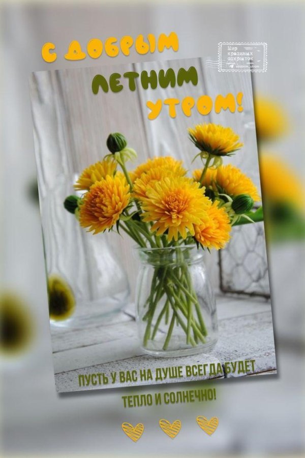 доброе летнее утро элегантные