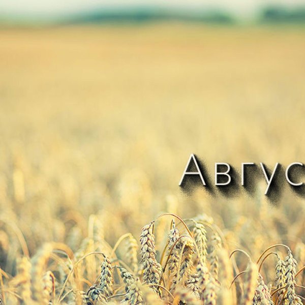 август картинки